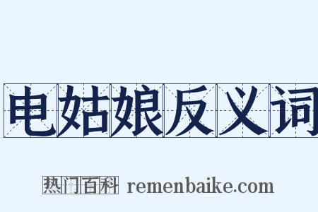 电姑娘反义词是什么意思的图片